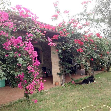 הוילה ג'יראסולה Casa Santina חדר תמונה