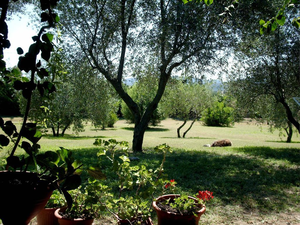 הוילה ג'יראסולה Casa Santina חדר תמונה