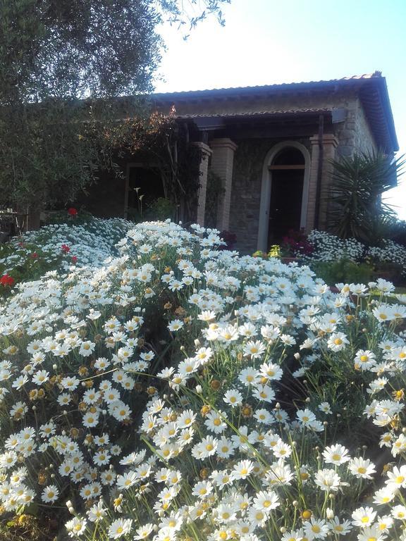 הוילה ג'יראסולה Casa Santina מראה חיצוני תמונה